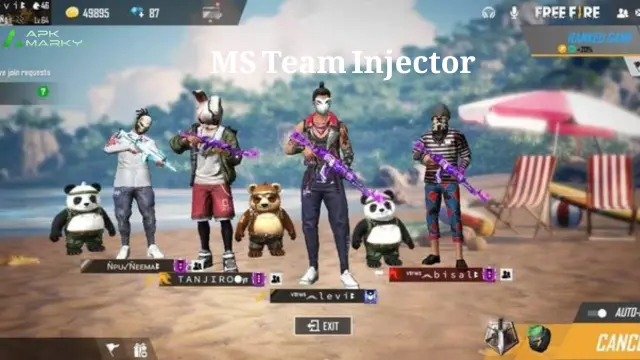 MS Team Injector 