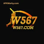 W567 Game