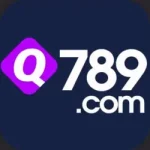 Q789 Game